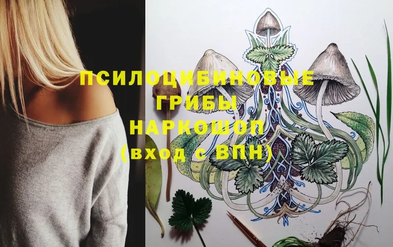 Псилоцибиновые грибы Magic Shrooms  OMG маркетплейс  Карпинск 